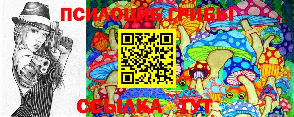 Галлюциногенные грибы Psilocybe Медногорск